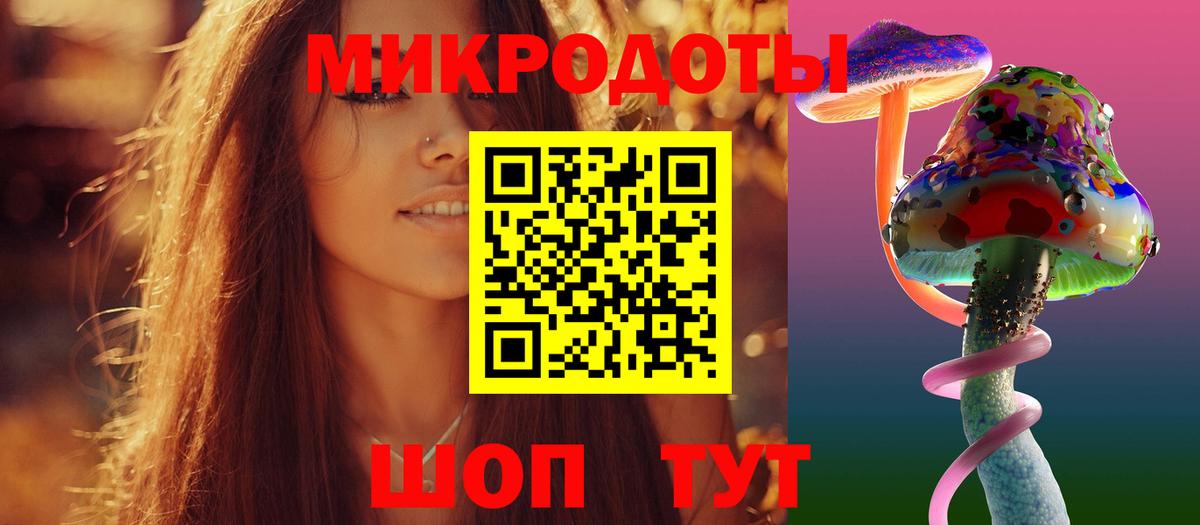 Псилоцибиновые грибы Cubensis  Вход с VPN  Гусев 