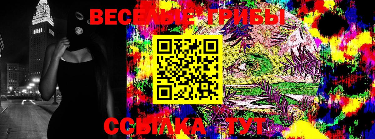 Псилоцибиновые грибы Psilocybine cubensis Гусев